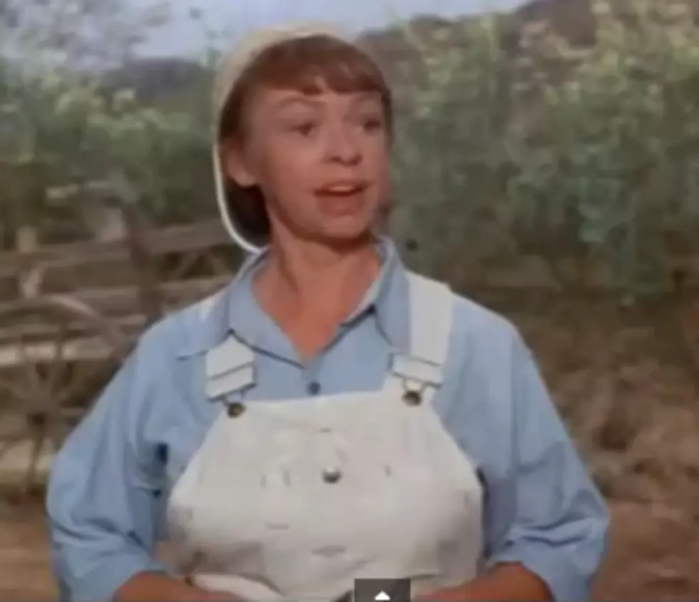 Co-Star of TV’s “Green Acres” Dies at 89. Was Born in Upstate New York!